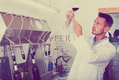 葡萄酒,玻璃杯,拿著,職業,食品加工廠