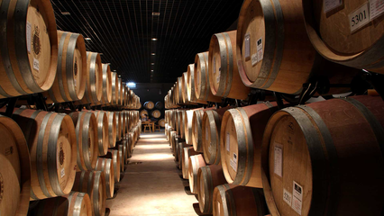 永寧縣:筑強現代化產業體系 推進葡萄酒高質量發展